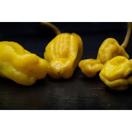 10 Heirloom Pepper Seeds- Golden Greek Pepperoncini -Sweet Flavor with a Mild Kick - Green to Yellow Vegetable Seed Pack