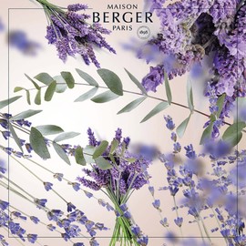 [French Version] Lamp Berger LAMPE BERGER Aroma Oil 1L Lavender Fields