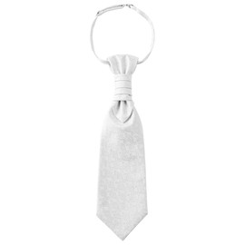 WANYING Men's Plastron Tie Pre-Tied with Hook Closure, Adjustable Wedding Tie for Weddings, Accessories for Groom - Paisley, Paisley White 2