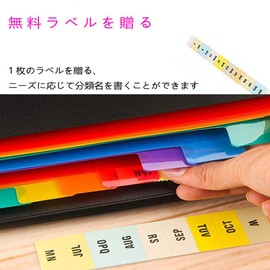 Document Stand A4 13 Pocket File Box, Document Case, Storage Box, Organization, Freestanding (Color)