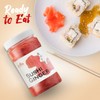 Fusion Select 2 Packs Sushi Ginger - Natural Sliced Gari,
