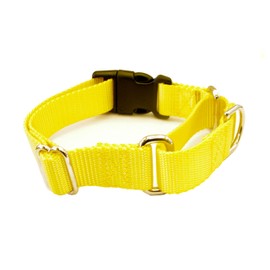 1 Inch Width Martingale with Buckle Dog Collars - Heavy Duty Nylon (1" Width Dog Collars (Yellow, XXL 1")