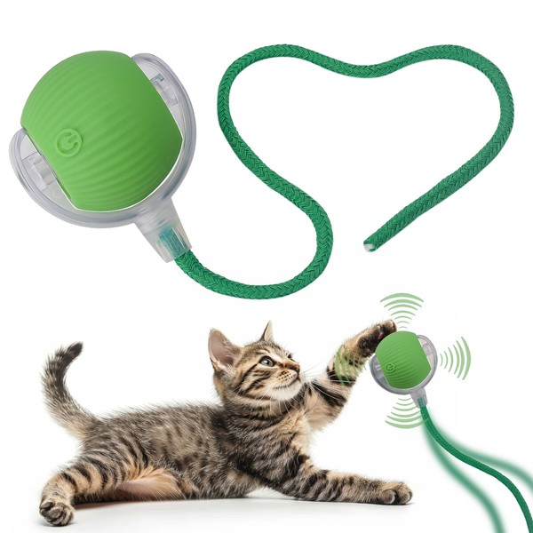 Interactive Cat Dog Toy Ball: Indoor Small Automatic Moving Smart