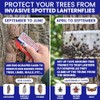 Spotted Lantern Fly Trap for Trees. 3 Sticky Fly Paper