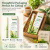 Lung Cleansing, Mullein Herbal Diffuser Pen, Non Electric Herbal Purifier,