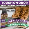 Uncle Todd's Odor Stomp Shoe Deodorizer 2-Pack - Proven &
