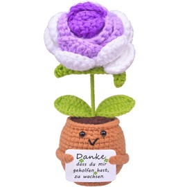 Mwmoeen Pocket Hug Positive Blume Geschenke, Kreative Strickwolle Positive Die Rose, Positive Kartoffel Mutmacher Geschenk, Geschenk zum Abschluss, Beste Freundin Geschenke für Freundin