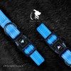 Reflective Nylon Pet Collar with Quick-Release Buckle – Adjustable, Durable,