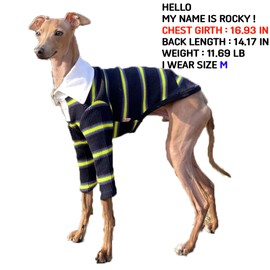 D DOGGY STAR - playera elástica con cuello para perros (L, azul marino)