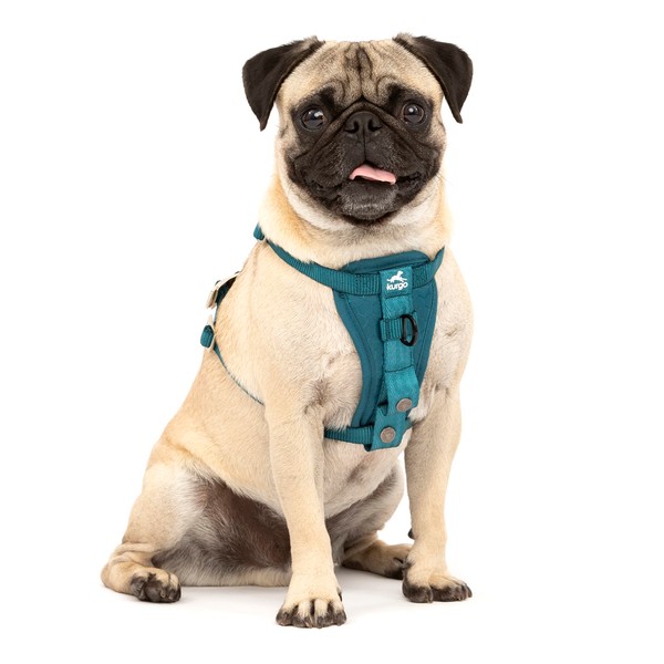 Kurgo TRU-Fit Dog Harness, Crash Test-Proven Car Seat Belt, for