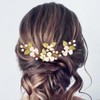 Campsis Wedding Bridal Hair Pins, Gold Pearl Flower Hair Piece,