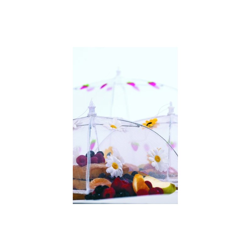 Epicurean Europe 30 x 30 cm Polyester with Zinc Plated