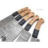 SHINY CRAFTS | Handmade Damascus Kitchen Knife Set with Camel
