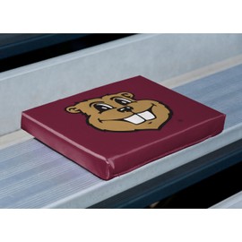 Logo Brands Cush Minnesota Golden Gophers Bleacher Cushion, Maroon