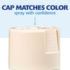 Rust-Oleum 334035 Painter's Touch 2X Ultra Cover Spray Paint, 12