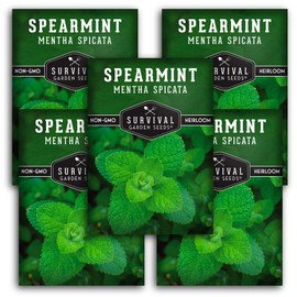 Spearmint Seeds for Planting – Non-GMO Heirloom Mint for Indoor or Outdoor Herb Gardens, Fresh Spearmint for Tea & Cooking (Mentha spicata) - Survival Garden Seeds (5 Packs)