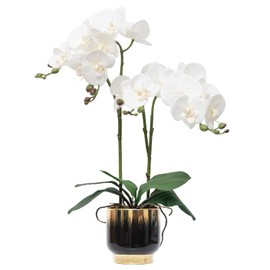 CXGS Orchids Artificial Flowers Real Touch Fake Flowers in Ceramic Pot 20" White Faux Orchid Plant Lifelike Silk Phalaenopsis for Centerpiece Hotel Home Indoor Decor