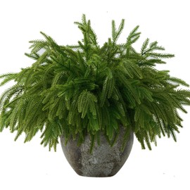 Sherika 50Pcs Christmas Norfolk Pine Branches - 14" Norfolk Pine Artificial Christmas Stems -Fake Christmas Greenery Pine Needles Picks for Christmas Indoor Outdoor Home Decor