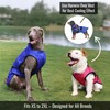 LUCOLOVE Dog Cooling Vest with Ice Pack – 2-Layer Evaporative
