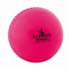 Readers Windball cricket ball For Training, Rosa - rosa, boy