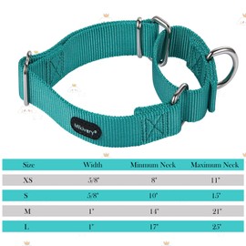 Mikivery Martingale Dog Collars Nylon Adjustable and Safety Choke Training Teal Comfortable Pet Collar for Medium and Large Dogs
