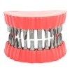 Denture Drill Bit Holder Denture Screwdriver Organizer 3D Sculpture Desk
