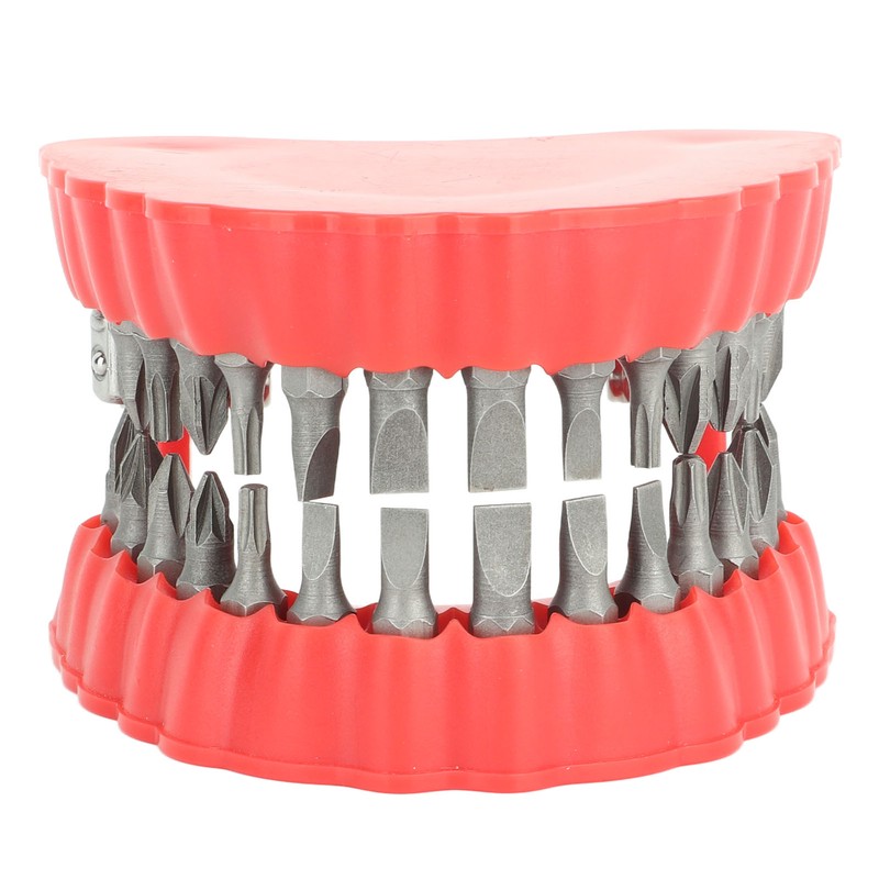 Denture Drill Bit Holder Denture Screwdriver Organizer 3D Sculpture Desk