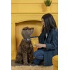 KVP Mendy Chews Multivitamin Treats for Dogs - Joint Support