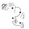 Coax Cable Crimper Cutter - TECHTOO Coaxial Cable Compression Fitting