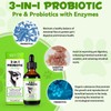 3-in-1 Probiotics for Dogs with Digestive Enzymes & Prebiotics –