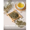 TeeLux Decaf Green Tea, CO2 Decaffeinated Green Tea Loose leaf,