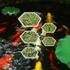 PEUTIER 5pcs Aquarium Floating Plant Corral, Foam Fish Feeding Rings