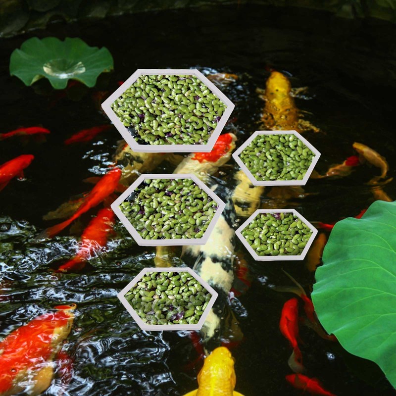PEUTIER 5pcs Aquarium Floating Plant Corral, Foam Fish Feeding Rings