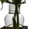 Danya B Decorative Wall Mount Amphora Glass Flower Vase on