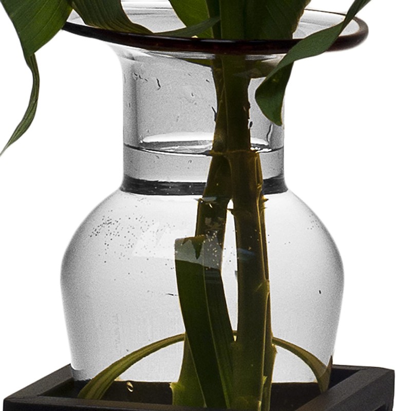 Danya B Decorative Wall Mount Amphora Glass Flower Vase on