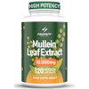 Mullein Leaf Extract for Lungs - 10,000 mg – Lung