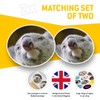 Vinyl Stickers (Set of 2) 7.5cm - Koala Bear Close