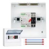 100A AC110V Automatic/Manual Transfer Switch, Millisecond Level Dual Power Automatic