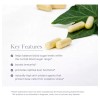 Akshar Ayurveda Gluco Support 60 Cápsulas