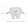 Apricot Lamb Toys Plush White Healthy Tooth Stuffed Tooth Soft
