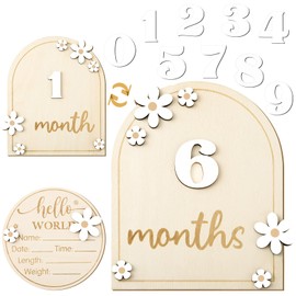 GGSTDDUP Baby Monthly Milestone Cards with Hello World Newborn Sign, Daisy Baby Milestone Signs Baby Monthly Milestone Wood Discs Baby Announcement Sign for Baby Growth Photo Props
