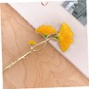 VICASKY Hair Sticks Ginkgo Leaf Hairpin Women's Updo Hair Accessories