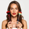 Powder Makeup Brush Set, Soft Domed Heads, Red And Rainbow