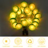 YOLUFER Lemon String Lights 20pcs LED Lights Lemon Slice Battery