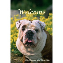 Bulldog - Best of Breed CEFK Welcome Photo Garden Flag
