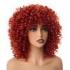PORSMEER 14 inch Afro Curly Wigs for Women, Short Loose
