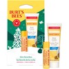 Burt's Bees Hive Favorites Beeswax Holiday Gift Set, Beeswax Lip