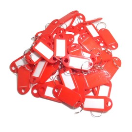 TOOLSTAR Key Tags 100 Pcs Plastic Key Tags Key Tags with Key Rings for Keyrings Luggage Pet Name Memory Stick Tags (Red)