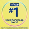 Softsoap Softsoap Antibacterial Liquid Hand Soap, Fresh Citrus Scent Hand