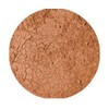 Eco minerals pure mineral bronzer 4g JAR - eco exotic